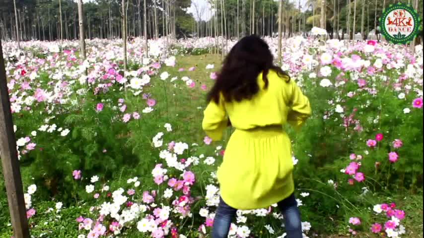 VID-20181228-WA004176