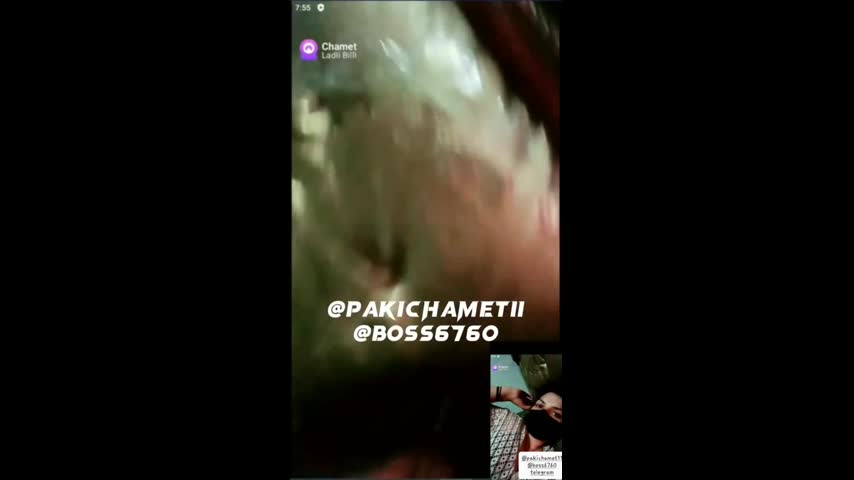 Myd chamet mb collection 1812025 -174