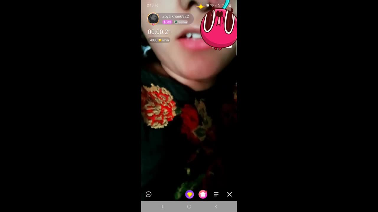 Myd-max-Chamet-Premium-Collection–12262024-340