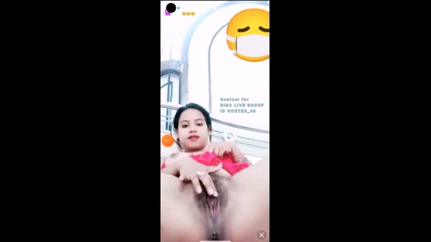 Myd chamet collection 842025327