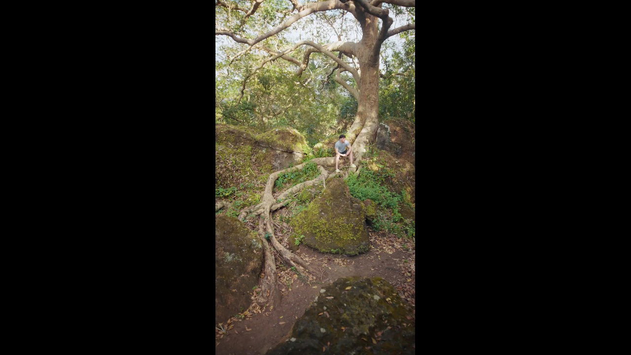 Dear Utol EP Erotic series p with eng subtitles