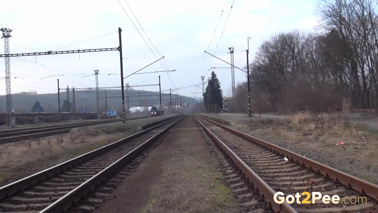 Train Line 1428083664 1080p Got2pee Com